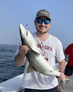 Shark Fishing in Dauphin Island